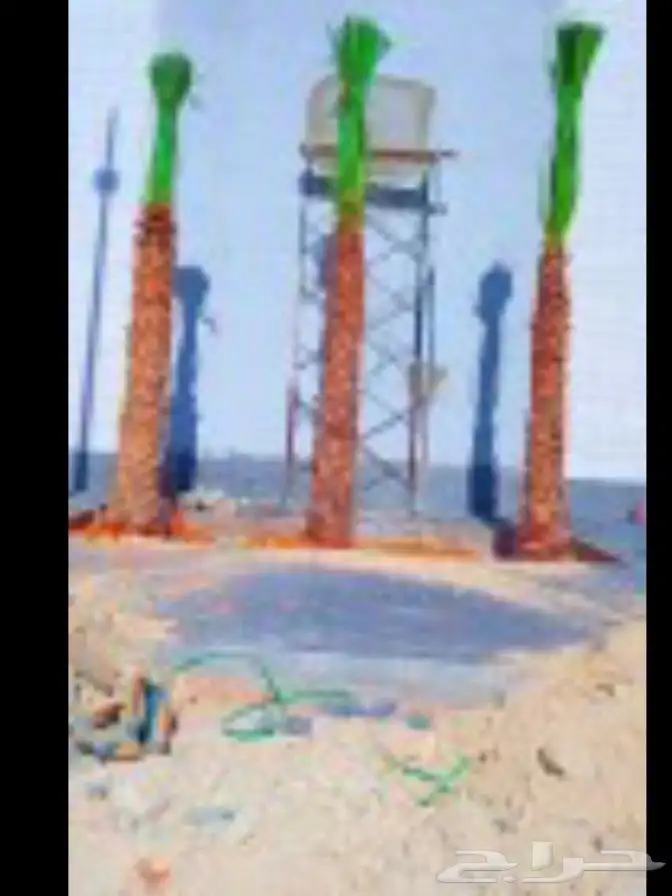 يوجد لدينا جميع انواع الواشنطن ابيض اسود غرص اسود مروحه 7