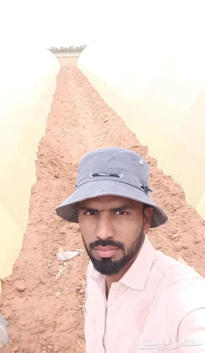 معلم بيوت محمي  ف  و تر يب 1