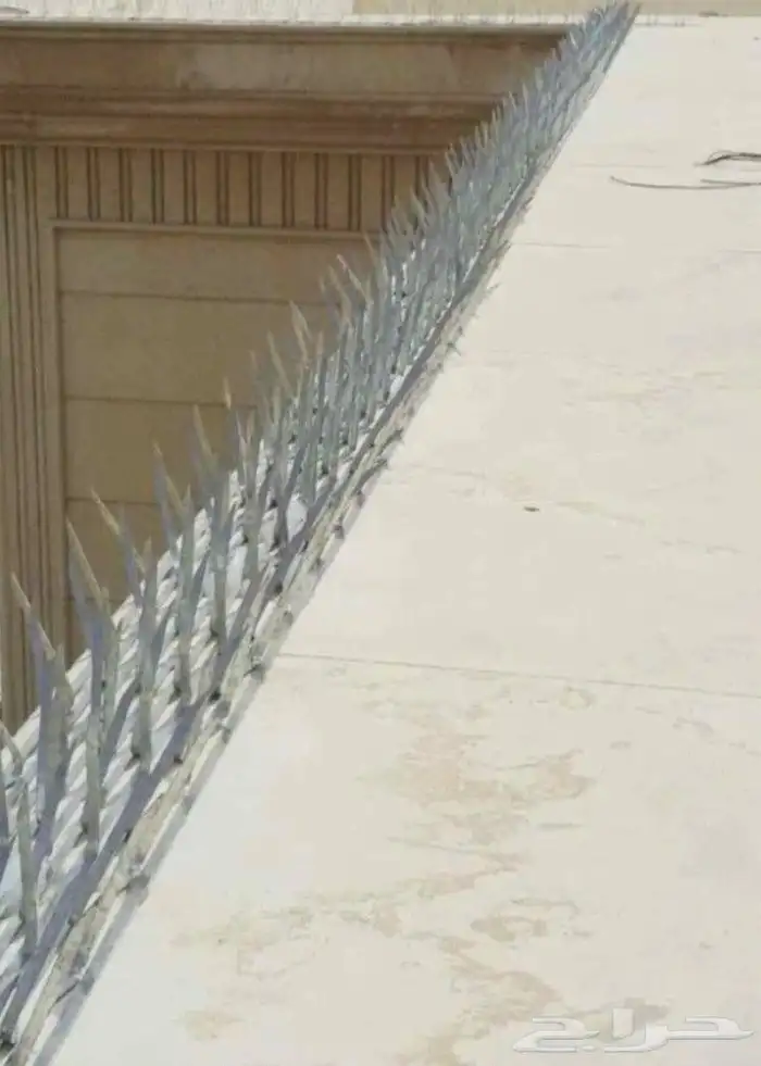 طارد حمام شبك 2