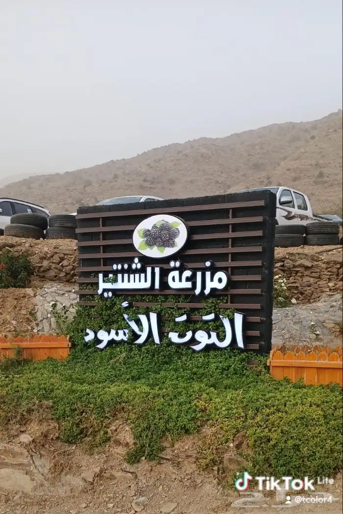 تصميم وتركيب حروف بارزة مضيئة 10