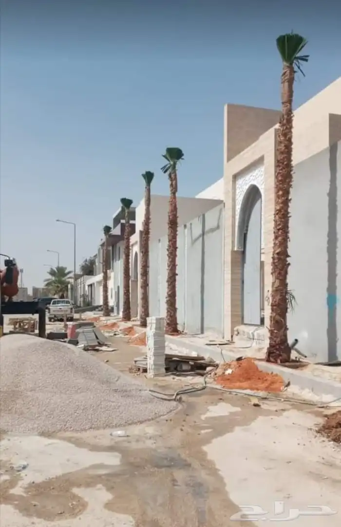 جميع انواع النخيل العربي ولواشنطني وفسايل خلاص 8