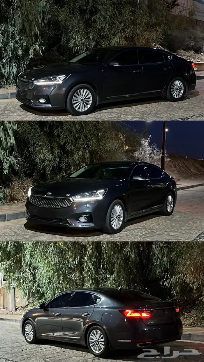 كادينزا 2020 ستاندر 10