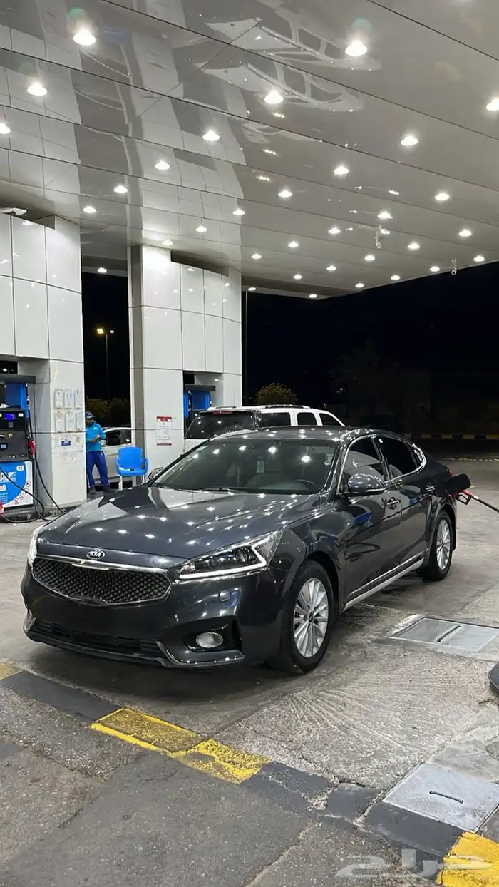 كادينزا 2020 ستاندر 8