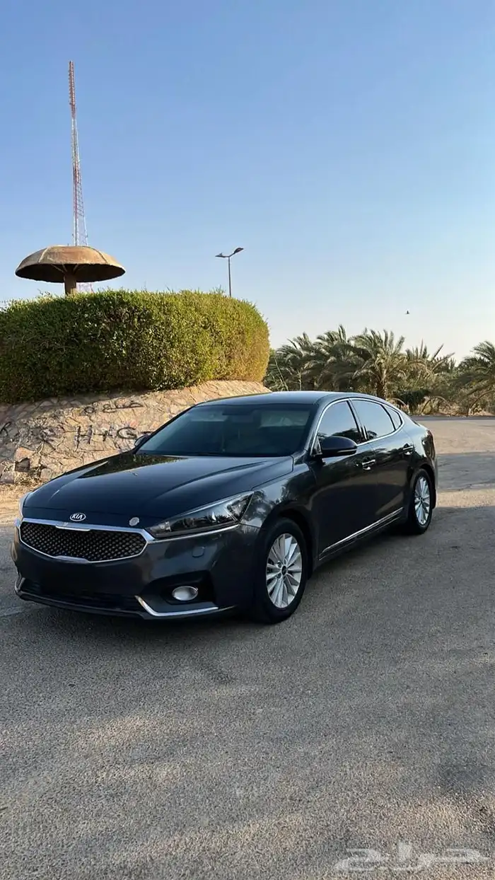 كادينزا 2020 ستاندر 2