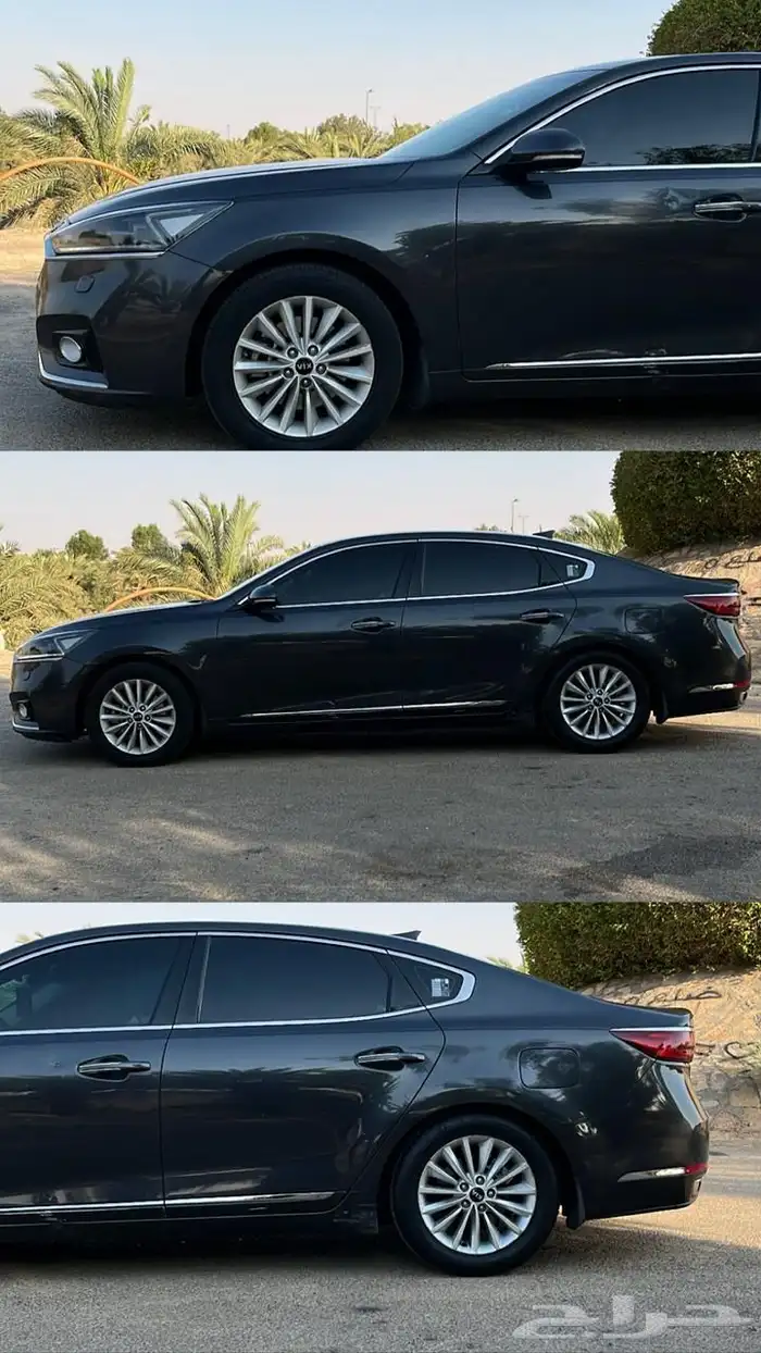 كادينزا 2020 ستاندر 4