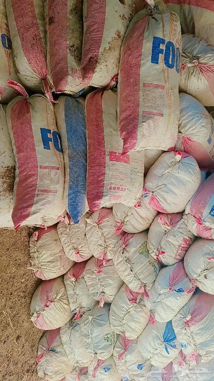 تمر حشف للمواشي 1