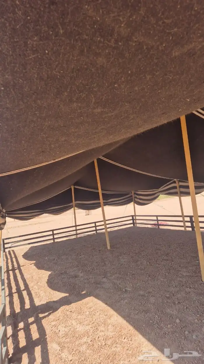 للبيع بيت شعر جديد 3