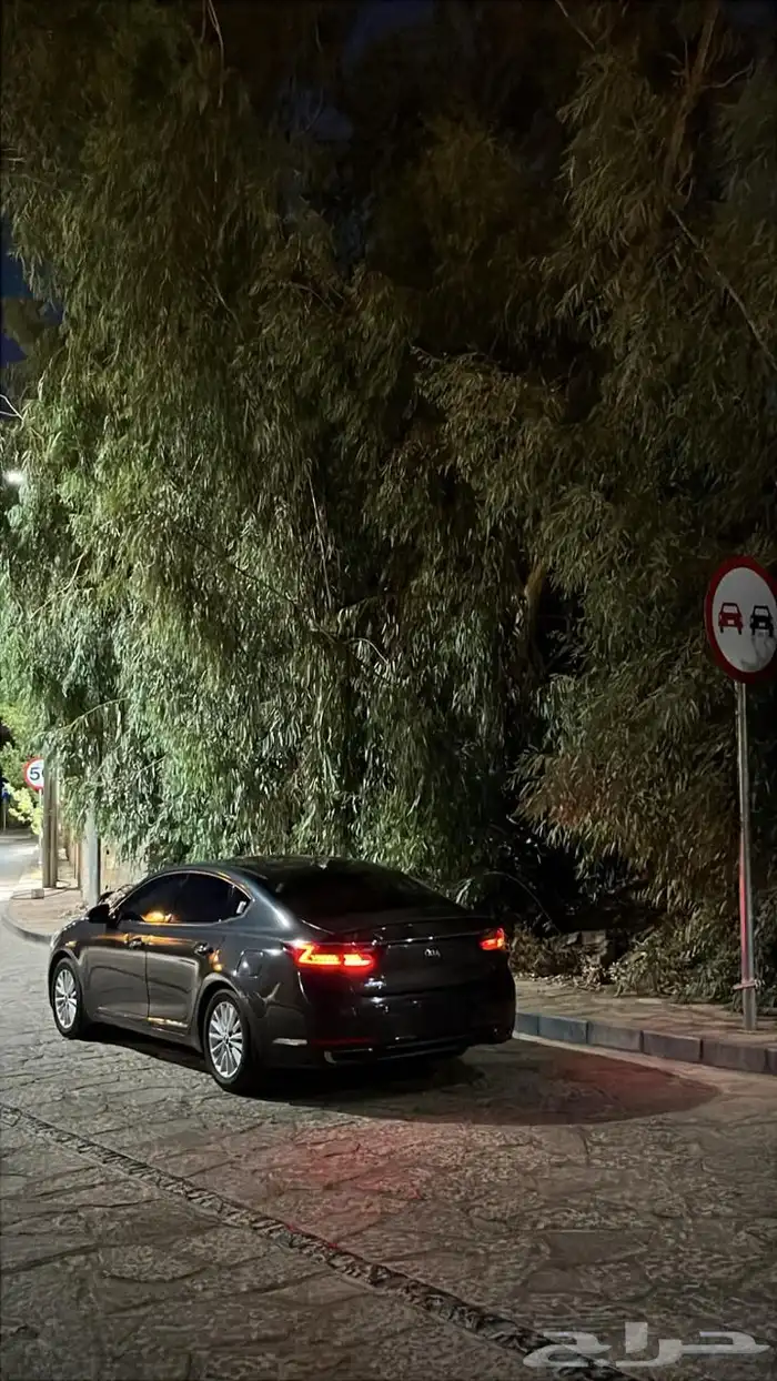 كادينزا 2020 ستاندر 11