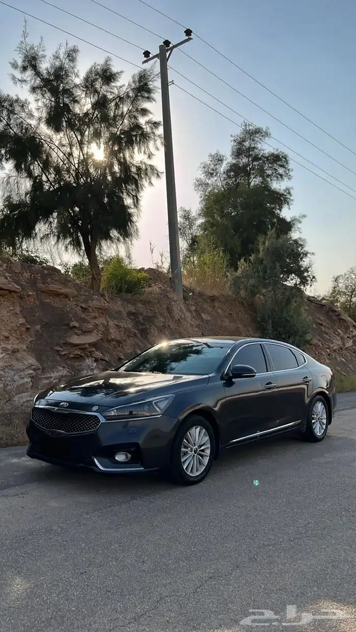 كادينزا 2020 ستاندر 5