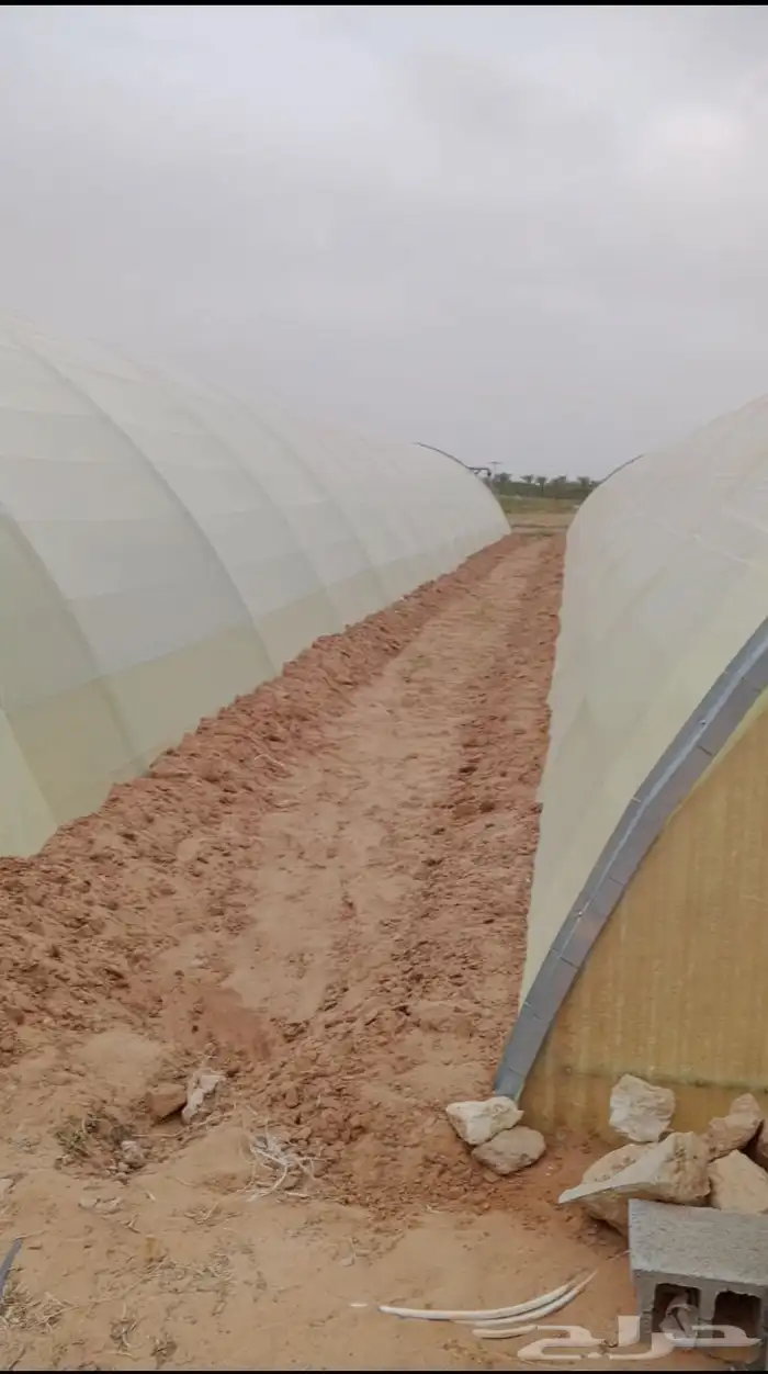 معلم بيوت محمي  ف  و تر يب 3