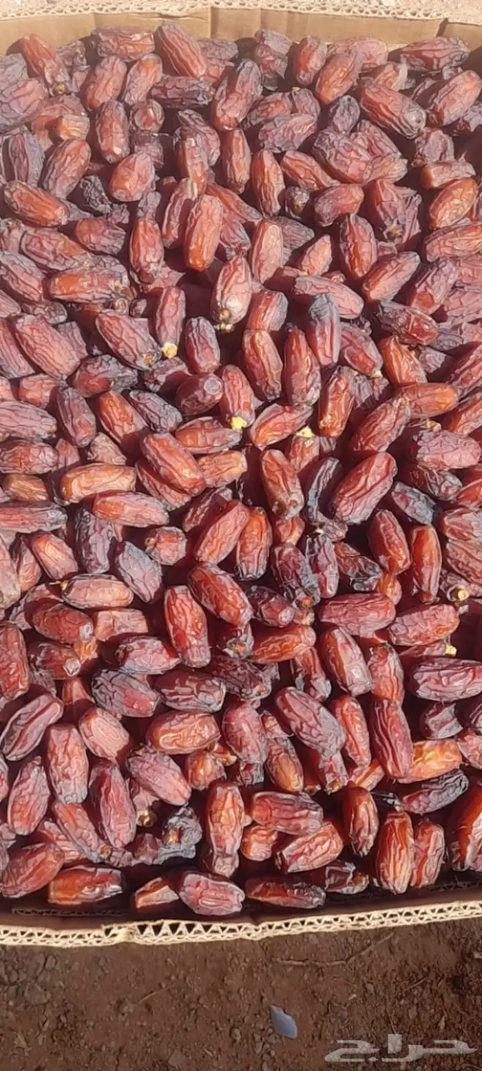 تمر مبروم جملة للبيع 2