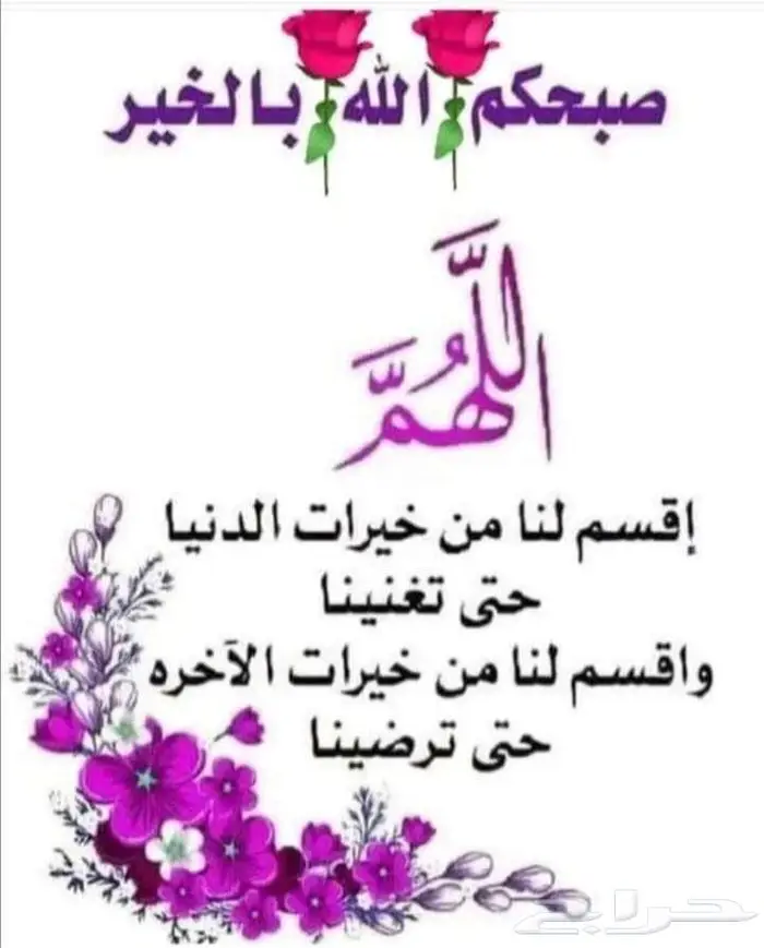 دكتور بيطري شاطر جدا زاير لمكه من جده 0