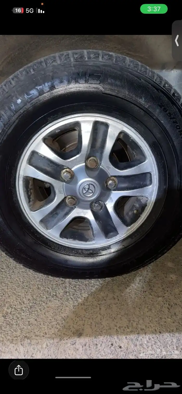 جنوط لكزز فرصه 1