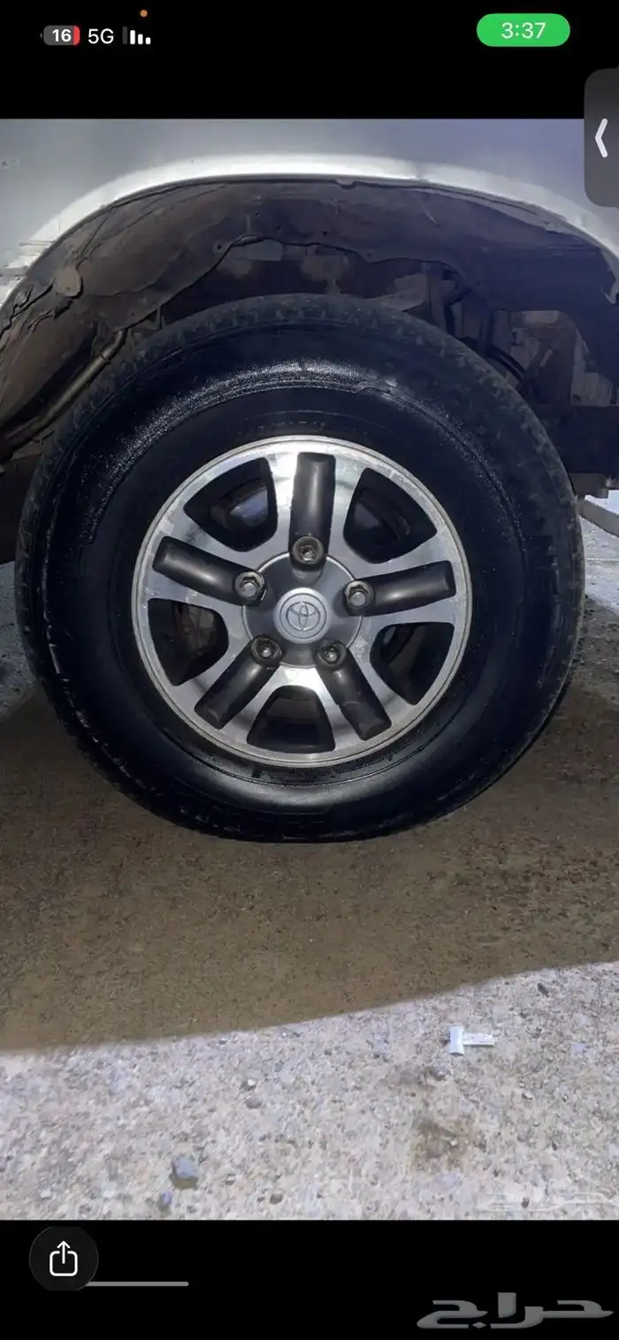 جنوط لكزز فرصه 0