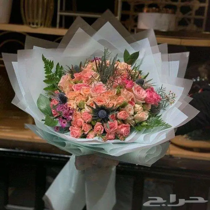 مطلو منسق ورو 0