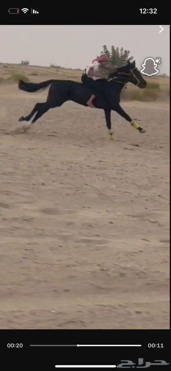 حصان طياره شعبي 1