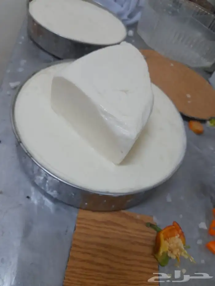 متخصص في صناعة الاجبان والزبادي 1