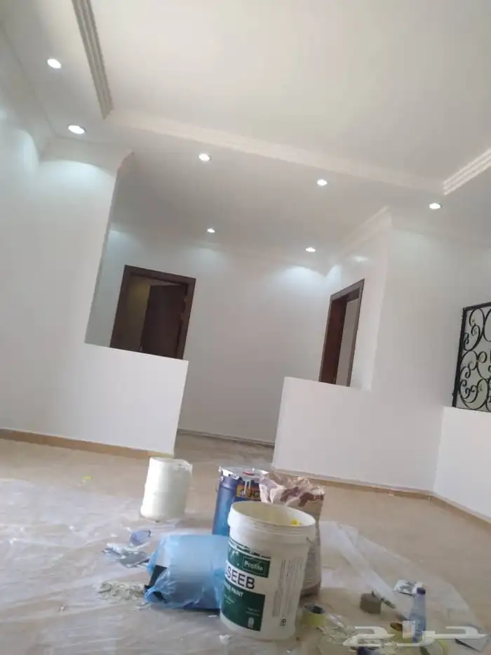 دهان مباني الرياض 3