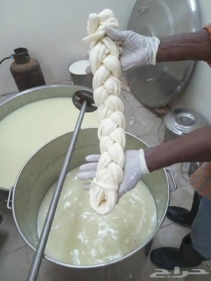 متخصص في صناعة الاجبان والزبادي 0