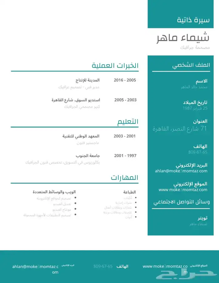 سيرة ذاتية cv 4