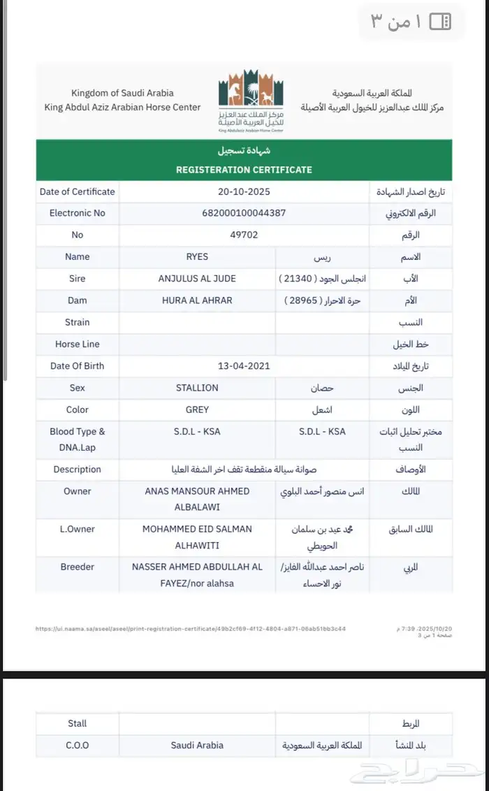 حصان حفيد مروان الشقب 4