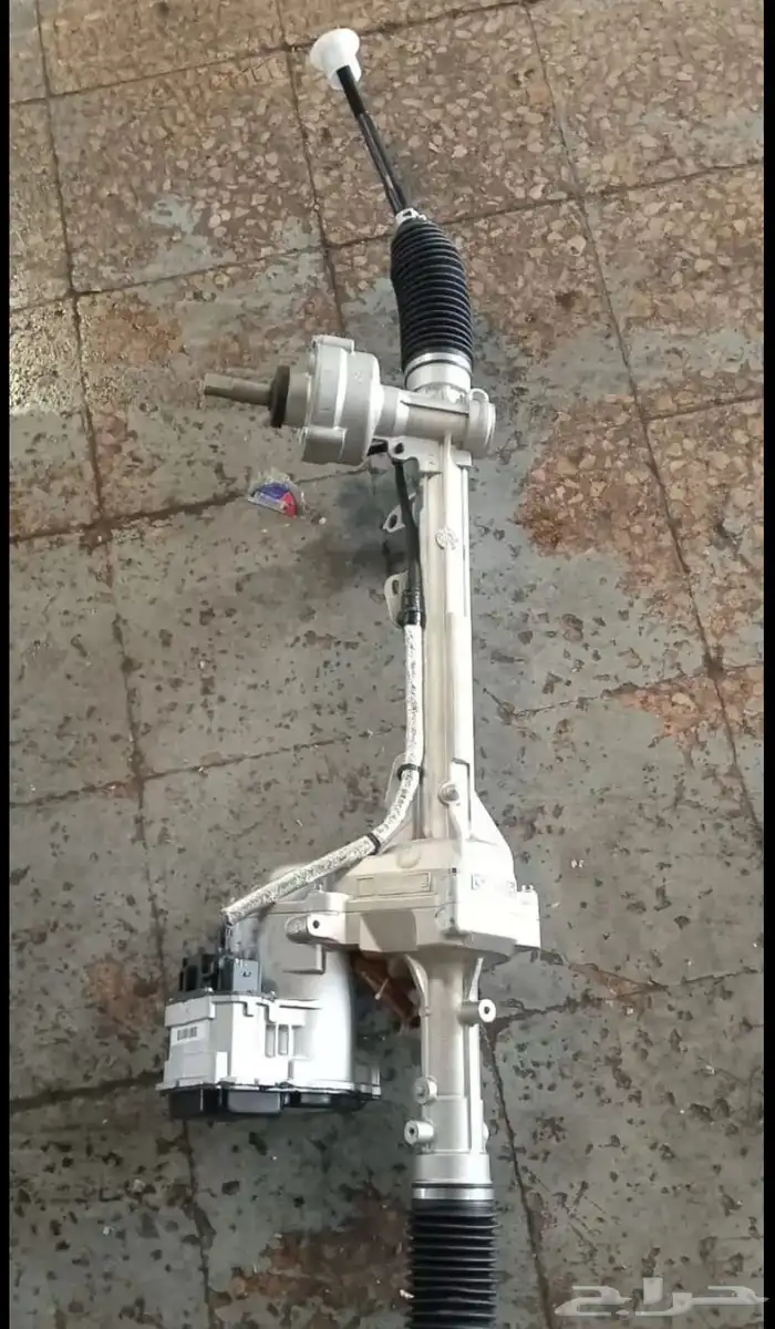 دودة دركسون 6