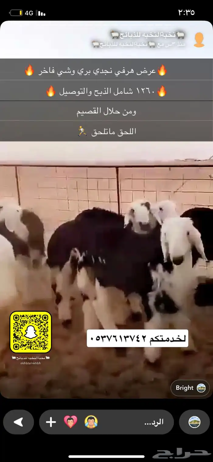 بهم نجد فاخر 0