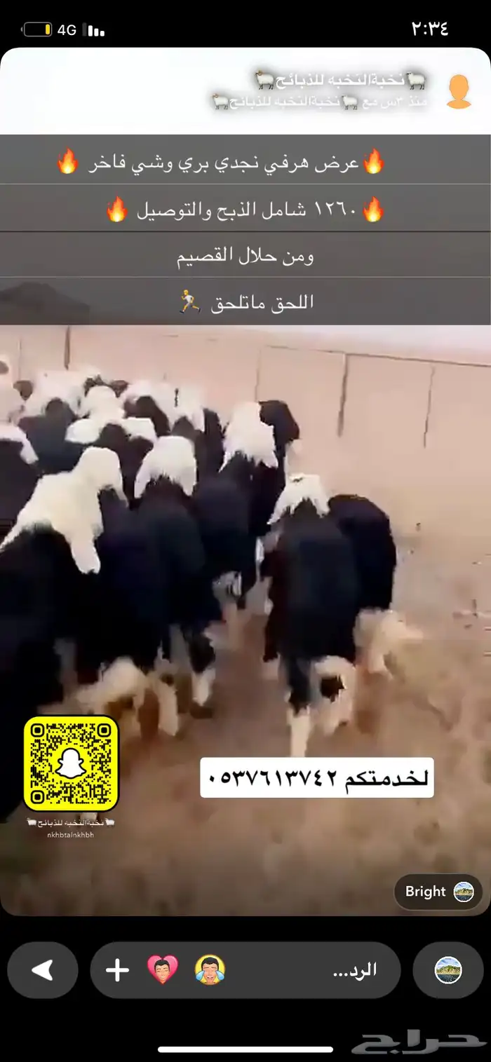 بهم نجد فاخر 2