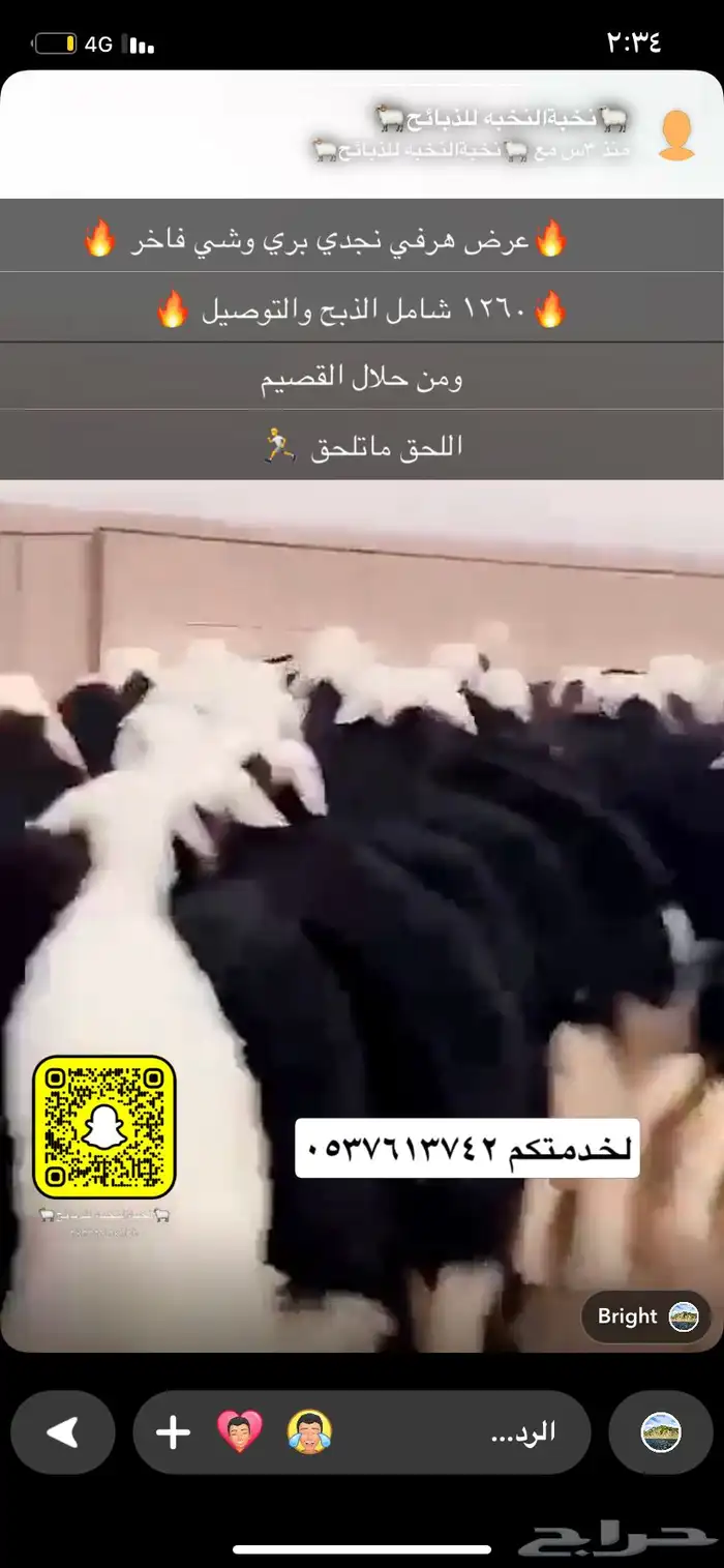 بهم نجد فاخر 1