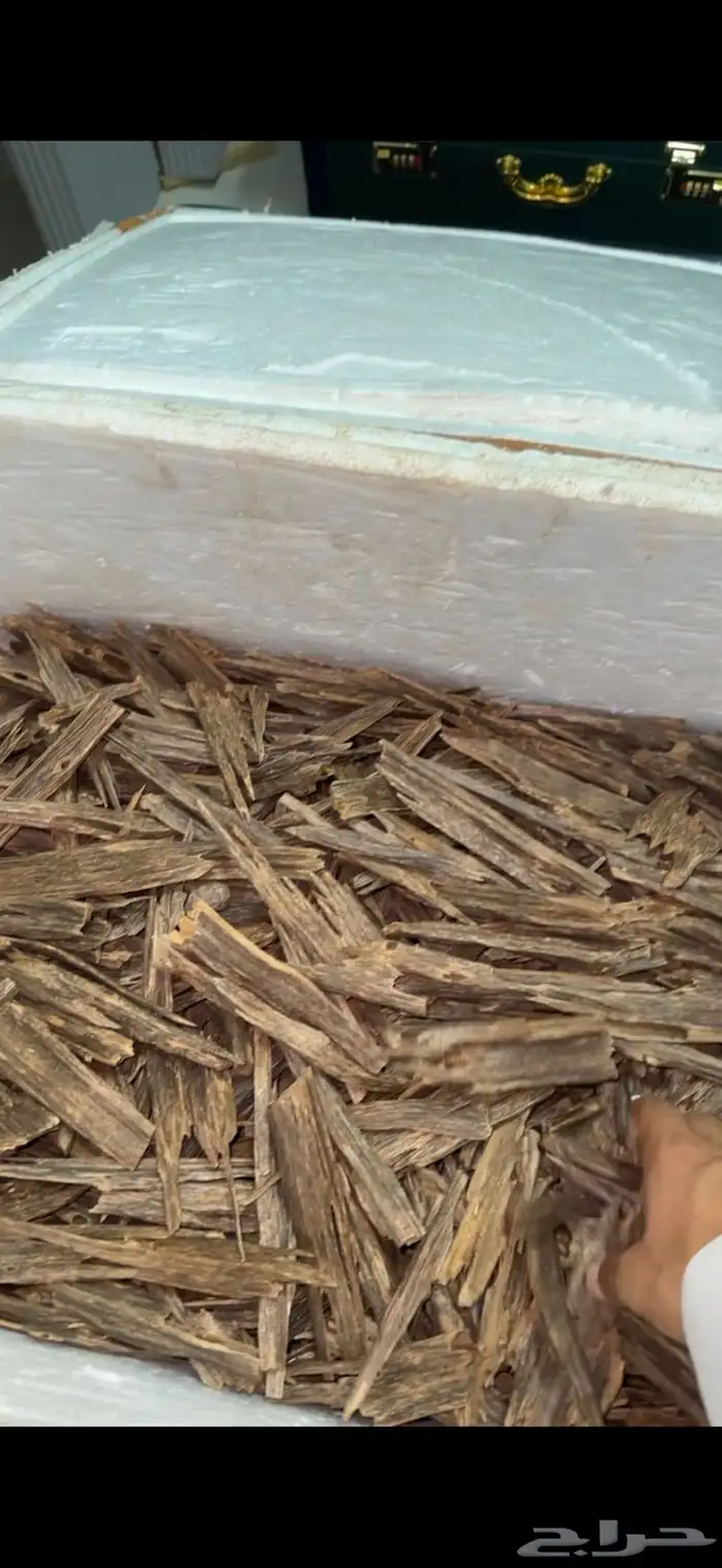 عود هندي دبل سوبر كفو كفو كفو (طبيعي ) 3