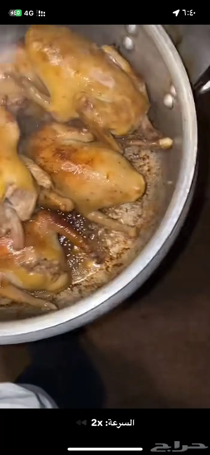 زغاليل ذبح اليوم طازجه 0