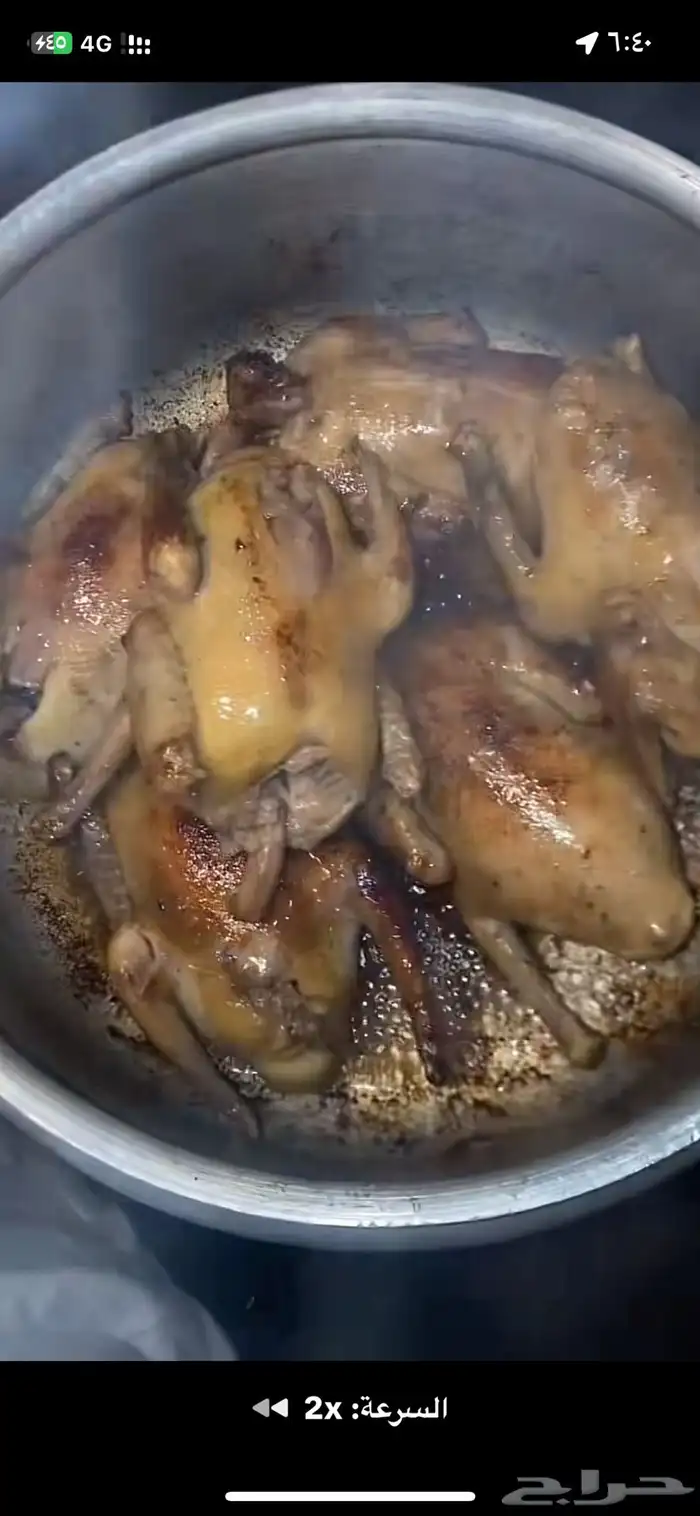 زغاليل ذبح اليوم طازجه 4