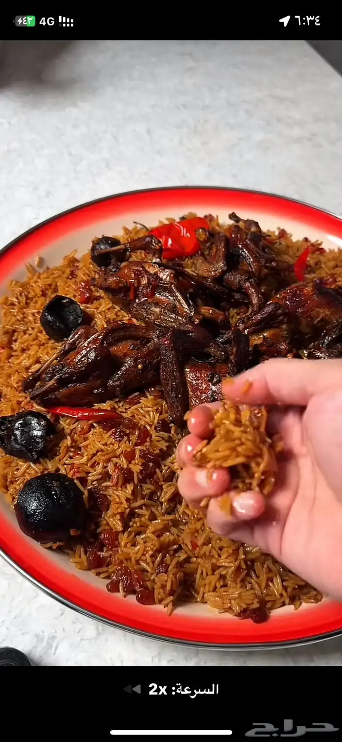 زغاليل ذبح اليوم طازجه 2