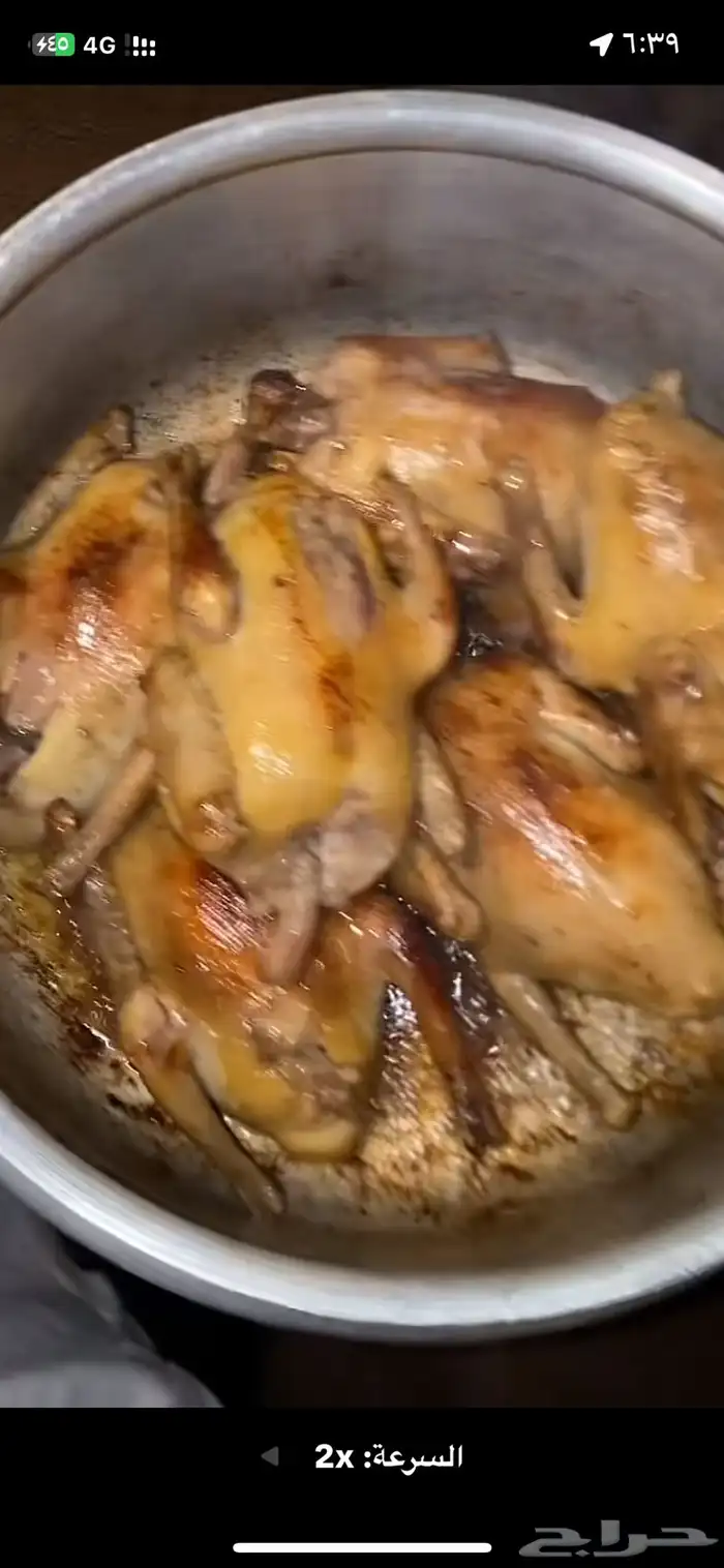 زغاليل ذبح اليوم طازجه 3