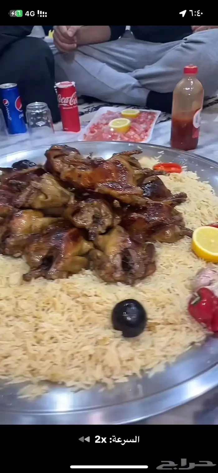 زغاليل ذبح اليوم طازجه 5