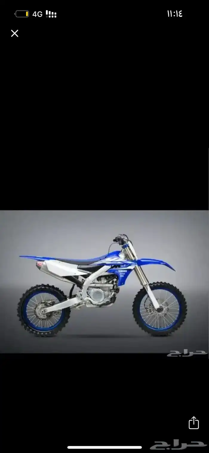 مطلوب صحراوي 0