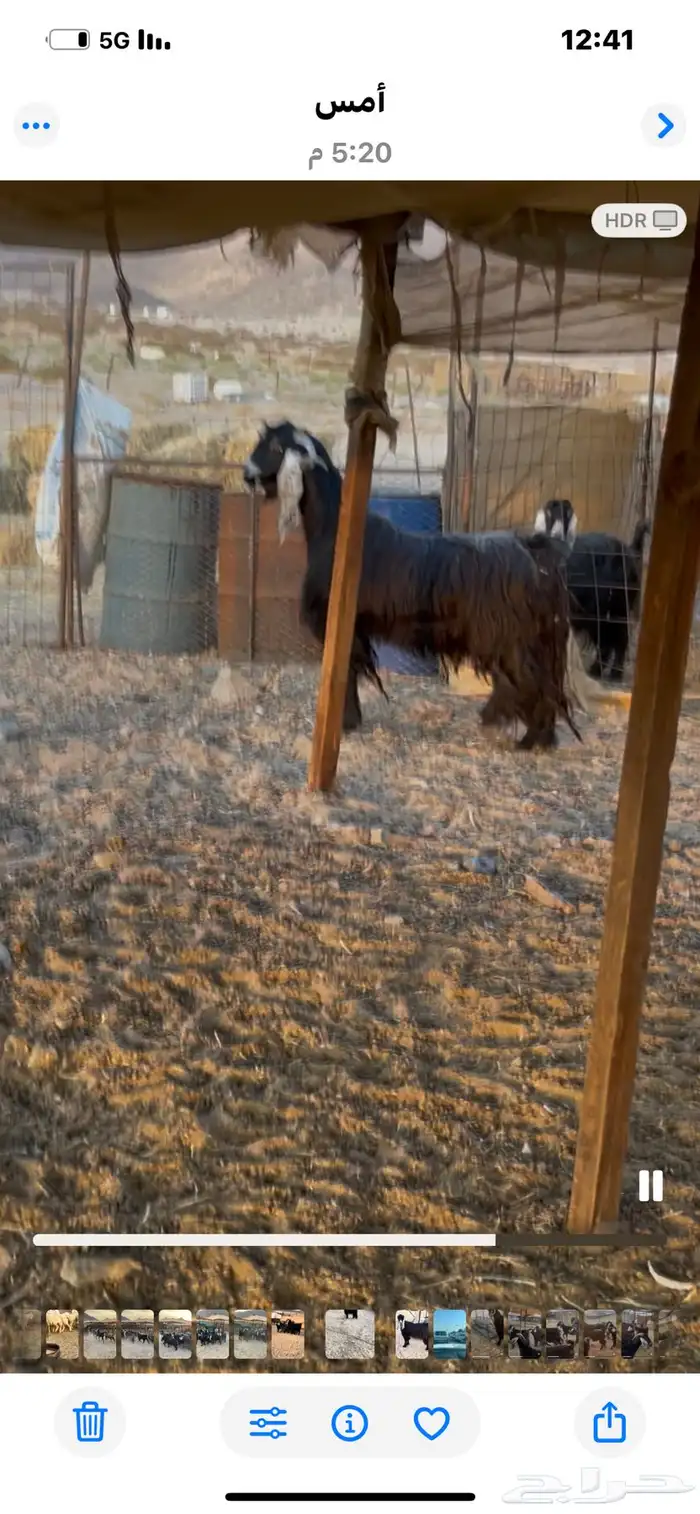 2فحول عوارض 0