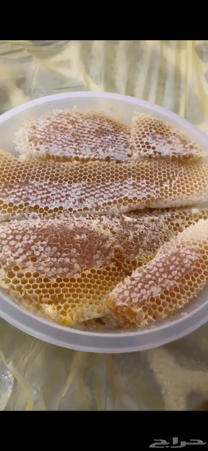 قرصان عسل للبيع 3