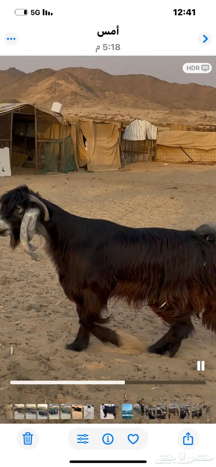 2فحول عوارض 5