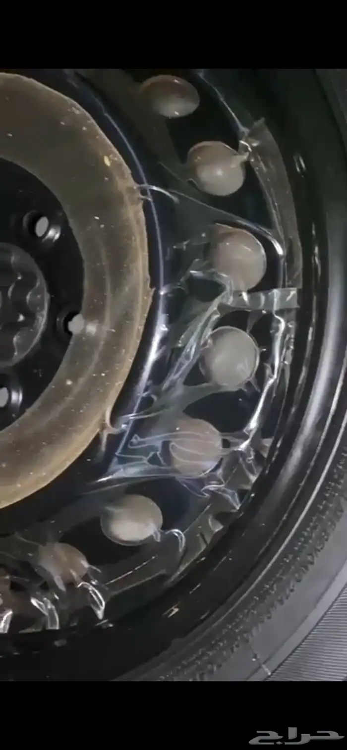 كامري 2017 شرط 10