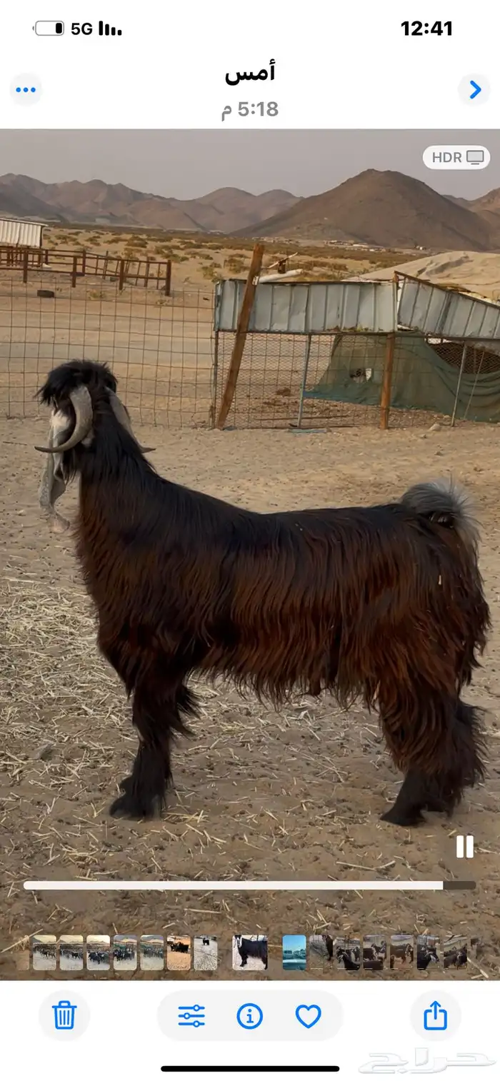 2فحول عوارض 9