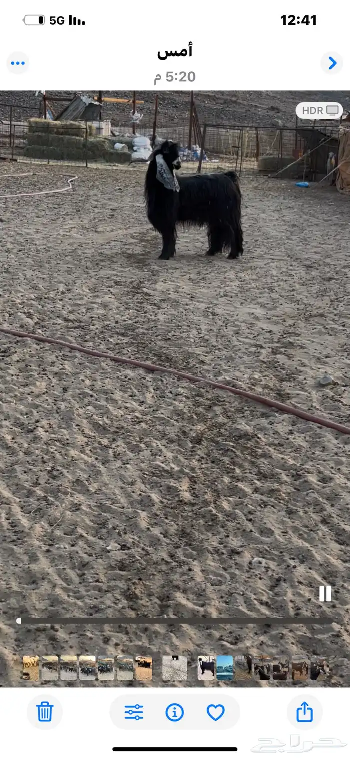 2فحول عوارض 7