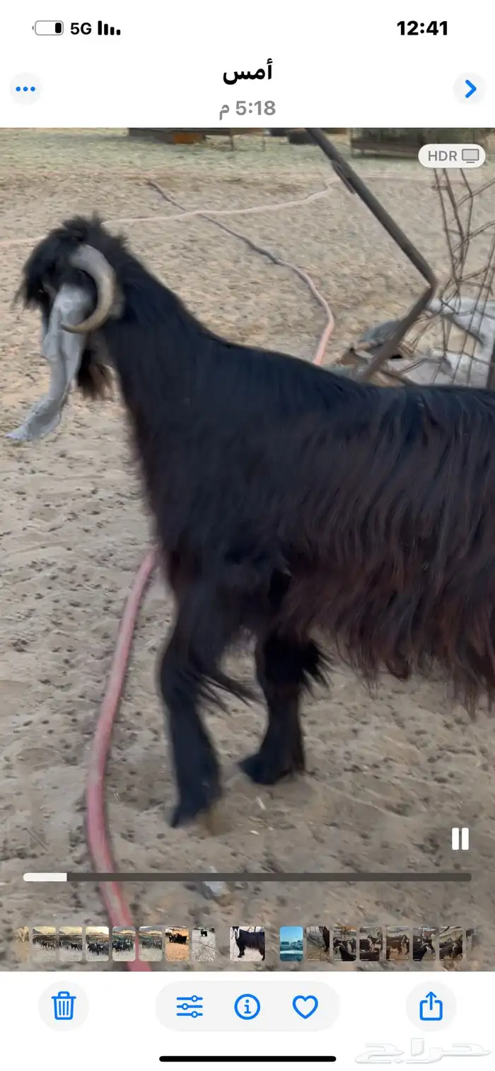 2فحول عوارض 8