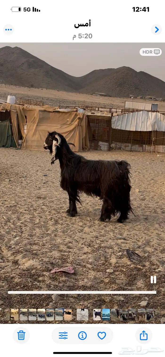 2فحول عوارض 2