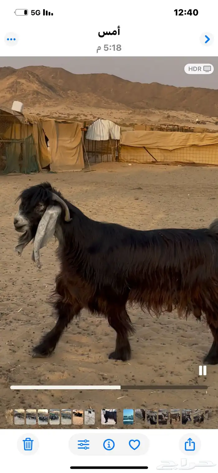 2فحول عوارض 10