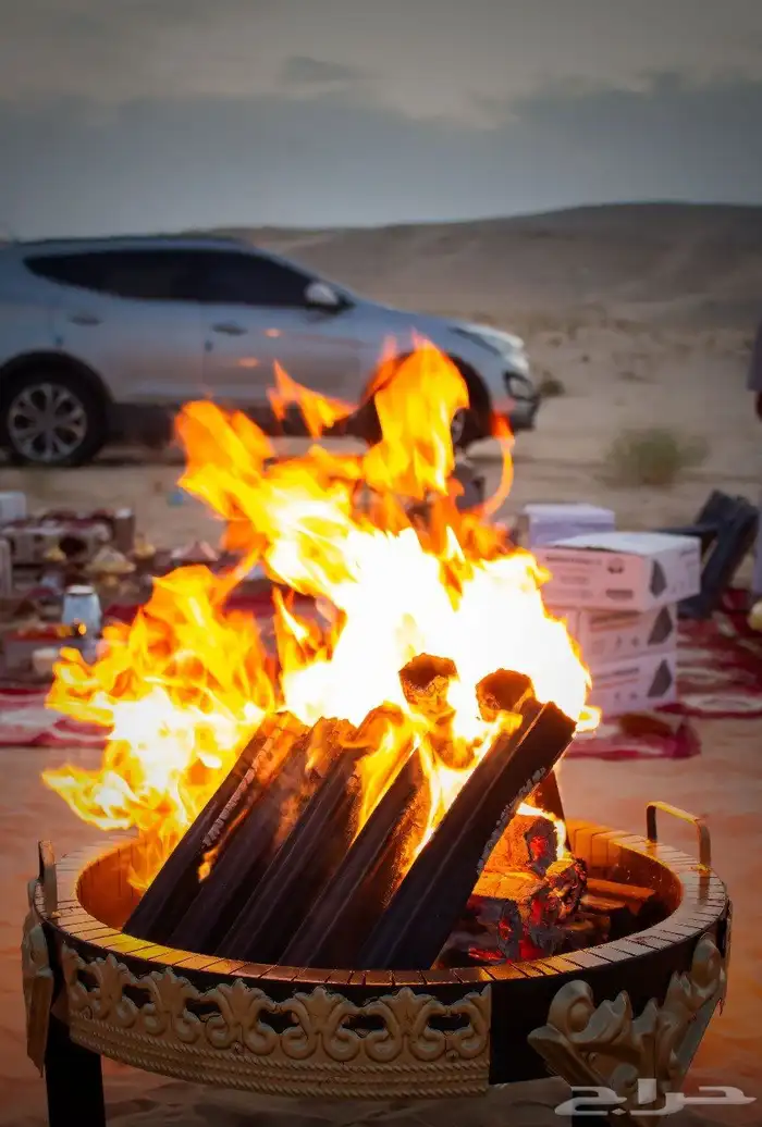 حطب سودس فيتنامي 10 كيلو درجه اولى السعر30ريال 1