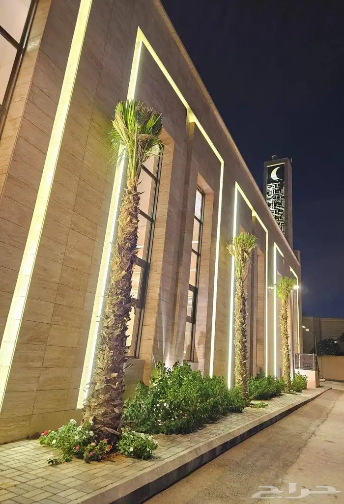 نخل ملوكي ملكي درجه اولى في جده واخارج جده جمبع المقاسات متو 7