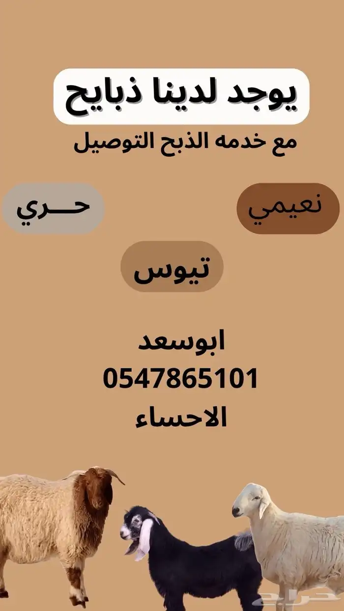 ذبايح نعيمي وحري وتيوس ويوجد توصيل 1