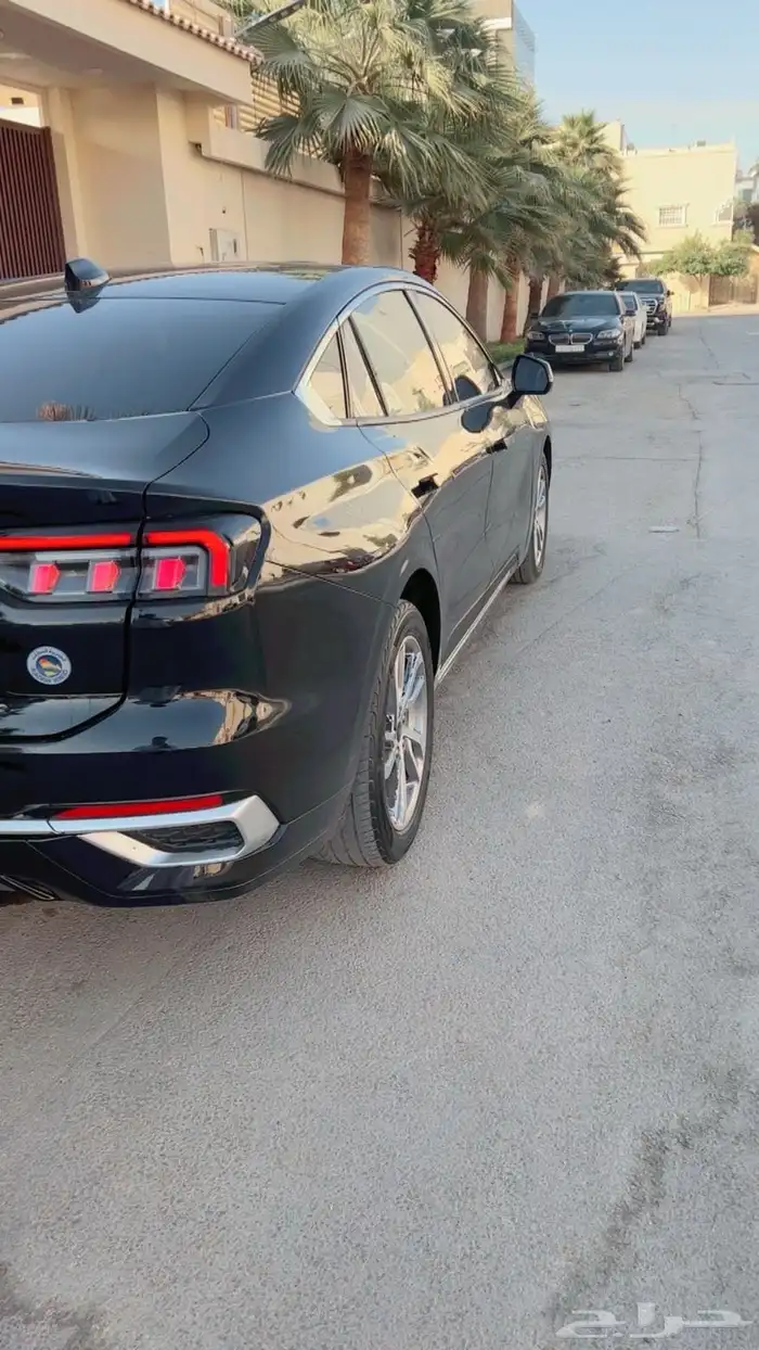 تورس اسود 2023 3