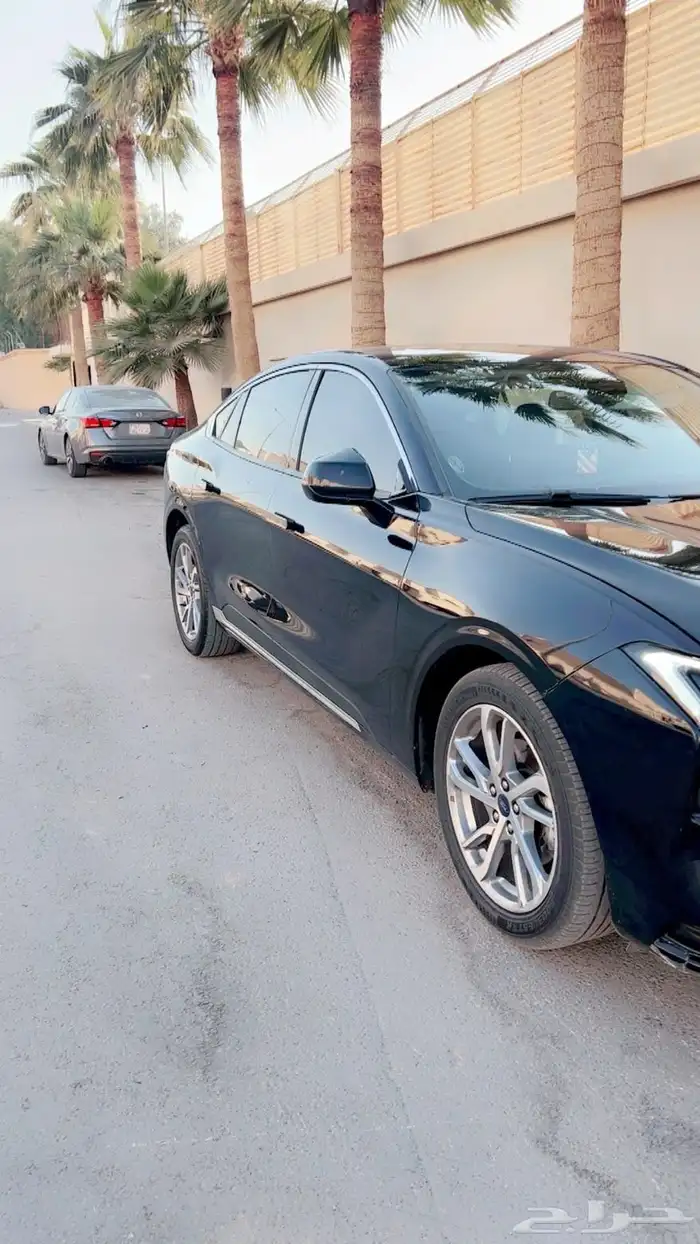 تورس اسود 2023 4